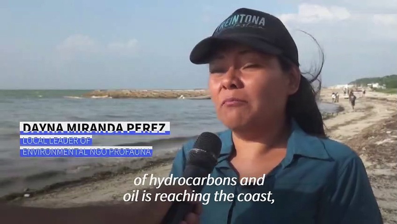 Beach clean-up after oil spill in Gulf of Mexico