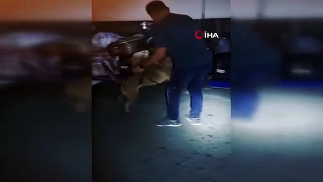 Yolcu otobüsünde 12,5 kilo skunk ele geçirildi