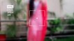 MKN Reels (Diksha Sahu) - Tor Bina Sunna 2