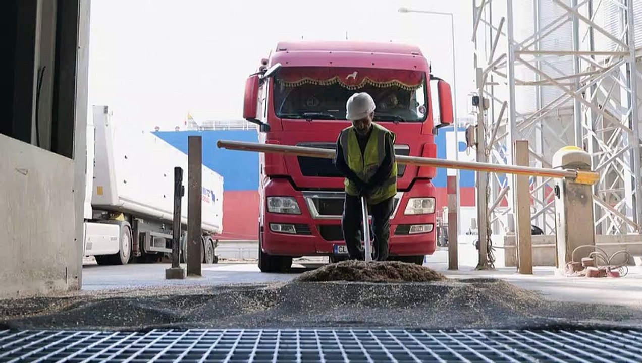 Rumänischer Hafen Constanta boomt - mit ukrainischem Getreide