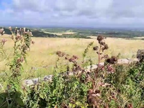 High winds batter the South Downs at Jack and Jill windmills and affect walkers in the unseasonal Sussex weather