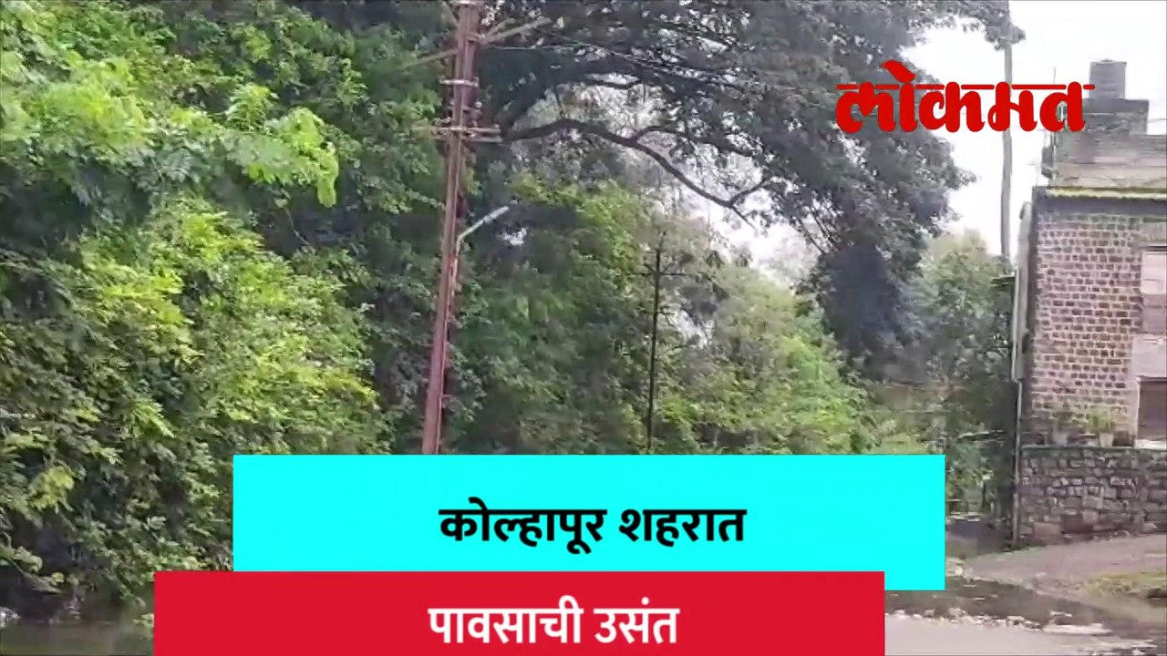 धरण क्षेत्रात पावसाचा जोर