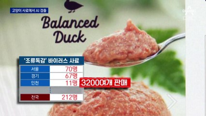 3천 개 팔린 고양이 사료서 AI…해당 업체 제품 전량 회수·폐기