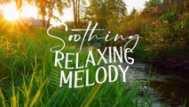 Beautiful Relaxing Music - Unwind Your Mind with Soothing Instrumental Melodies ｜ Stress Relief ｜ Meditation Music