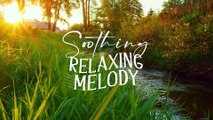 Beautiful Relaxing Music - Immerse in Calmness with Soothing Instrumental Music ｜ Stress Relief ｜ Meditation Music