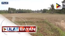 Climate change, malaki ang epekto sa sektor ng agrikultura sa bansa ayon sa isang DOST-Balik Scientist