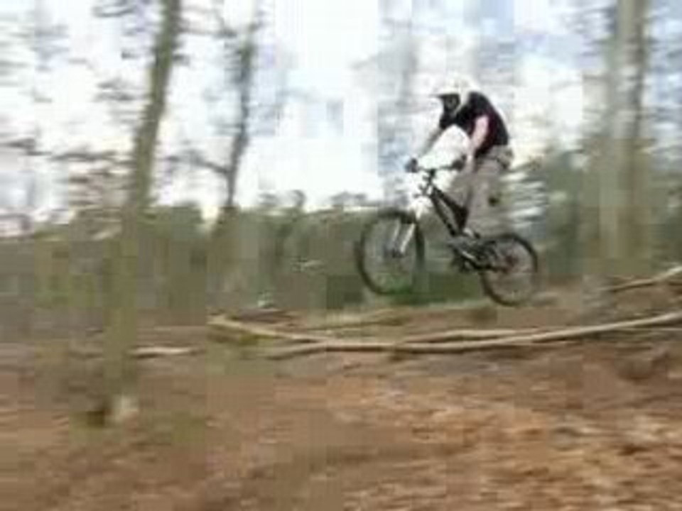 DH Spy 11
