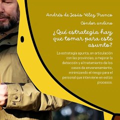 -ANDRÉS DE JESÚS VÉLEZ FRANCO- EL CÓNDOR ANDINO: ¿CÓMO PODEMOS EVITAR SU EXTINCIÓN? (PARTE 2) (@AndresdeJesus90)