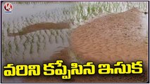 Farmers In Concern With Crops Damaged Due To Floods | Huzurabad | V6 News