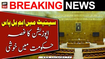 Senate say bhi aham bills pass - Hukumati rehnuma khush Opposition gussay mein