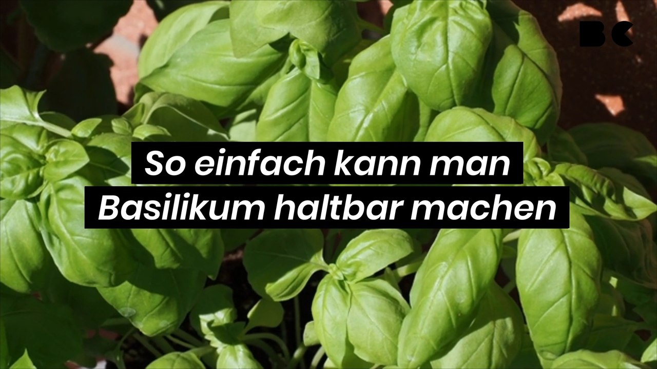 So einfach kann man Basilikum haltbar machen