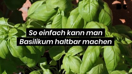 So einfach kann man Basilikum haltbar machen