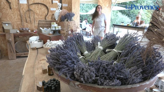 Aix-en-Provence : la lavande version Slow Tourisme