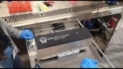 Spazio, sull'ISS un esperimento italo-israeliano contro le malattie neurodegenerative