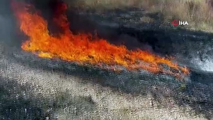 Hatay'da zeytinlik ve çalılık alanda çıkan yangın kontrol altına alındı