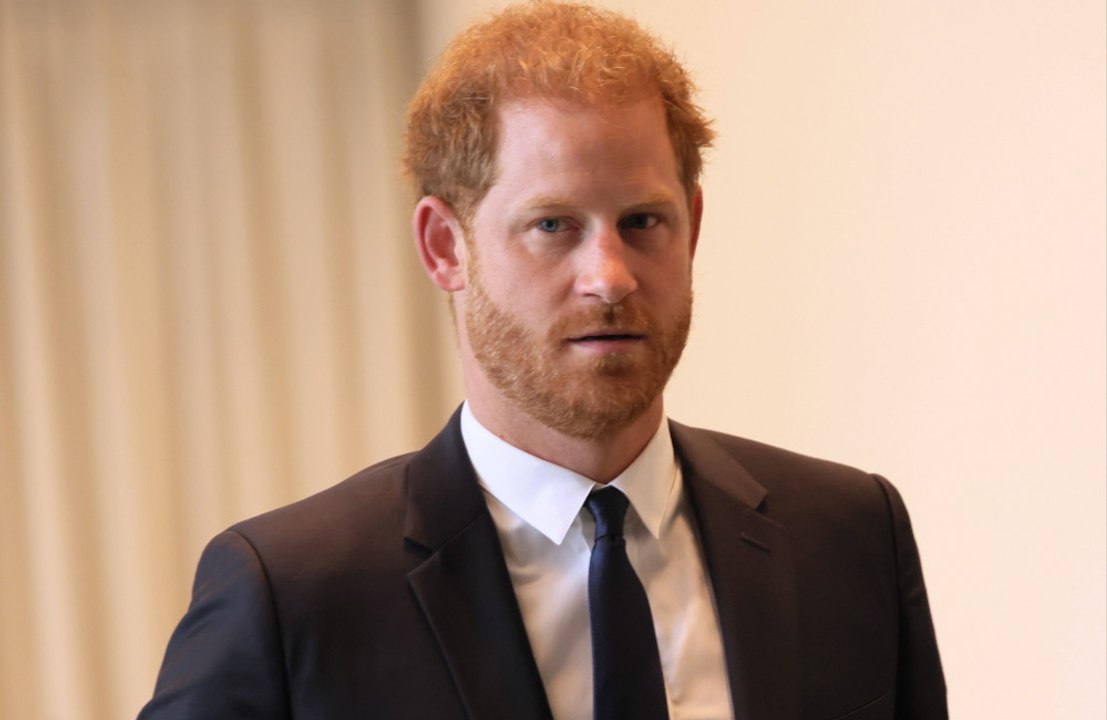 Prince Harry is still an "invaluable" part of his ecotourism organisation, according to its CEO