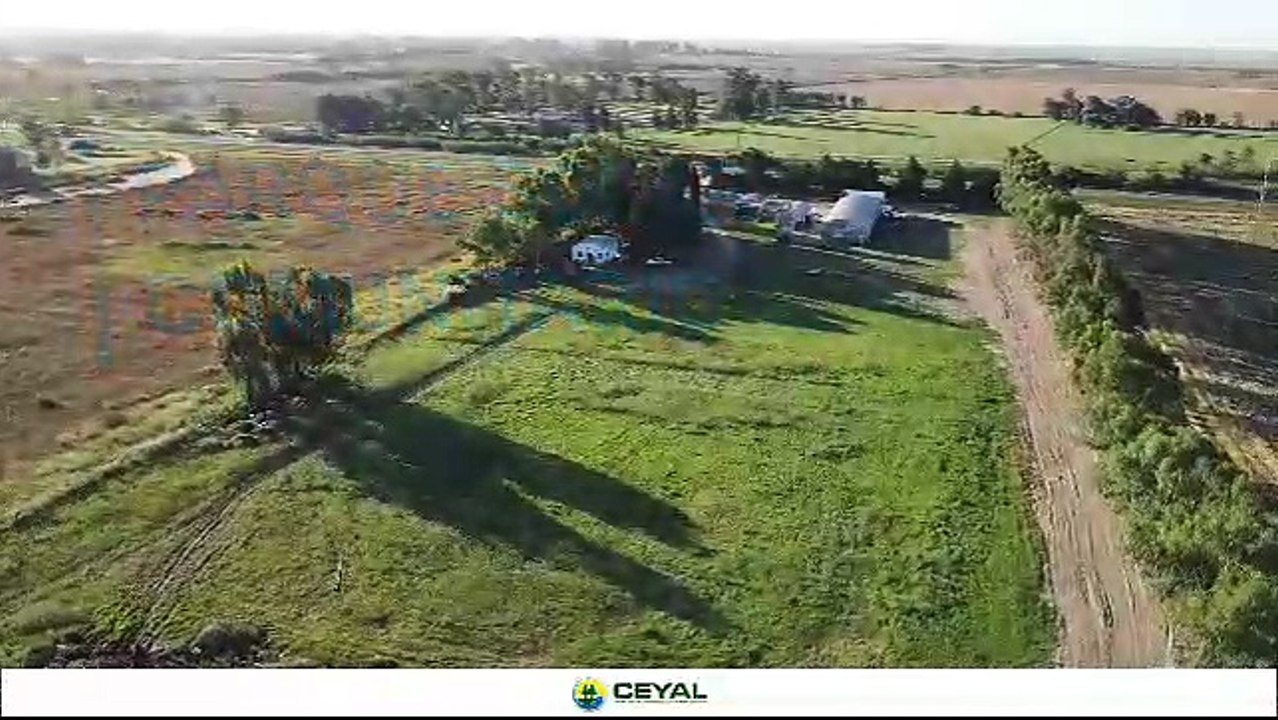 Ceyal Parque solar