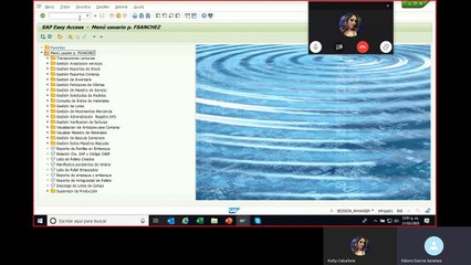 MM-Salidas de Mercancias Contra una Orden CO