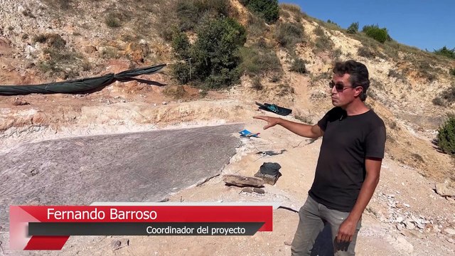 Aparecen nuevas huellas fósiles de vertebrados del Cretácico en Tamajón