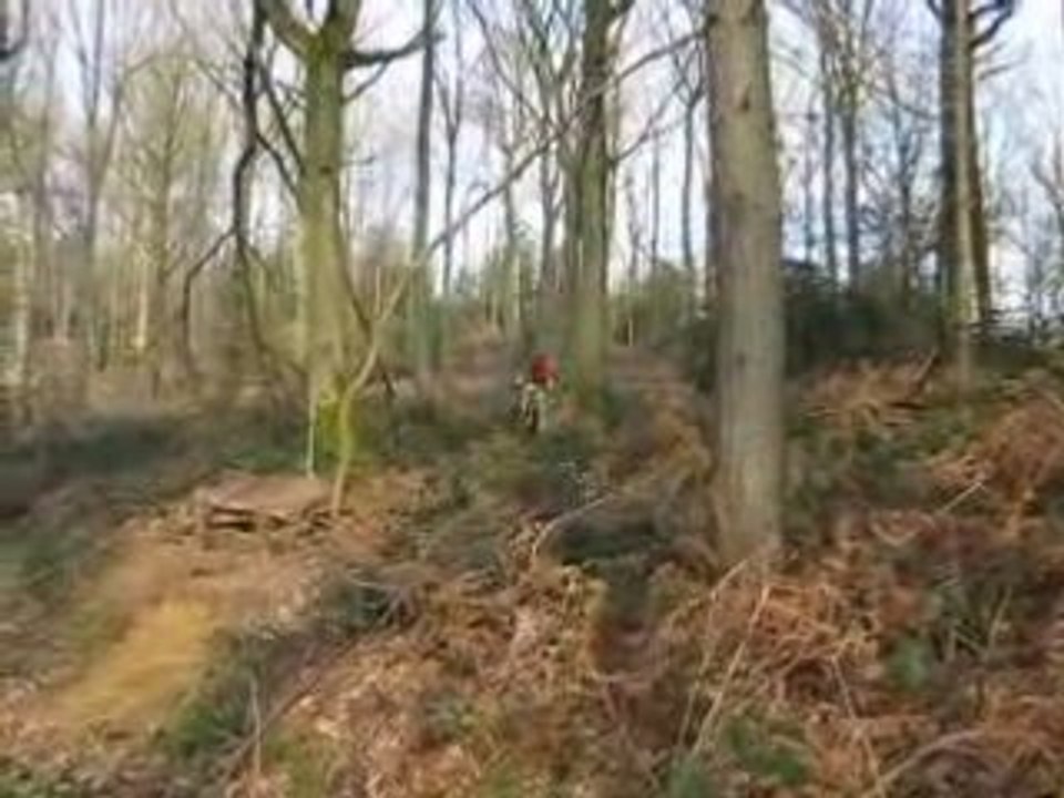 DH Spy 14