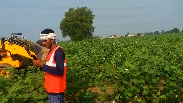 The figures of investigation related to soil samples are disturbing