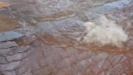 경기도 부천에서 수도관 파열...일대 '물바다' / YTN