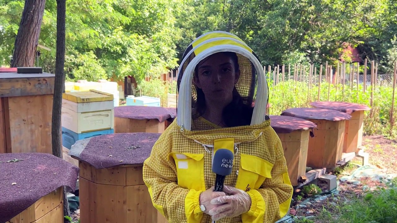 Euronews Perspectives: Debate and analysis on Global warming and climate change