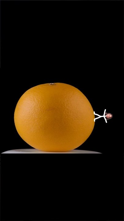 Pourquoi la Terre est plate ? 