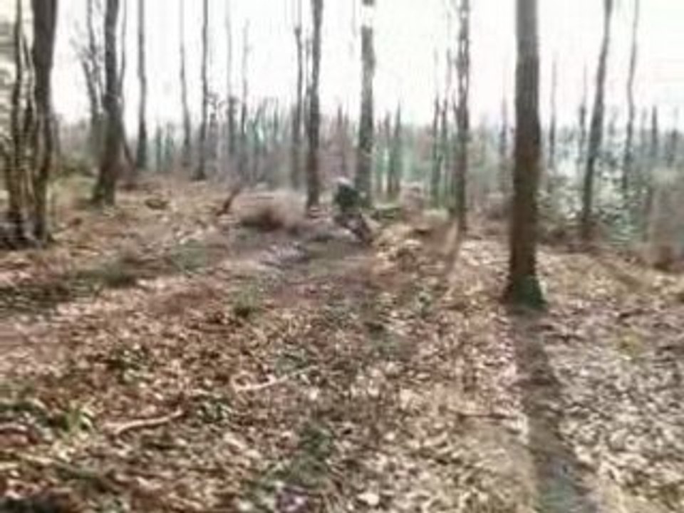 DH Spy 16