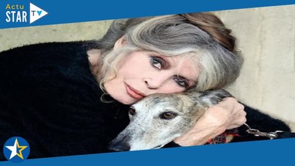 Brigitte Bardot : qu'en est-il de son état de santé ? "Elle a souffert" d'après Mireille Dumas