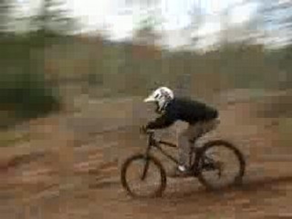 DH Spy 17
