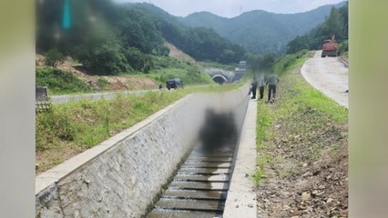 충남 보령 도로 건설 현장서 노동자 사망...중대재해법 위반 조사 / YTN