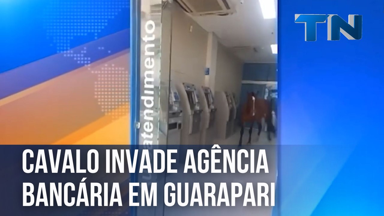 Cavalo invade agência bancária em Guarapari