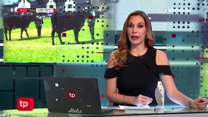 Productores exigen endurecer las penas contra los abigeatistas y advierten poco sentenciados