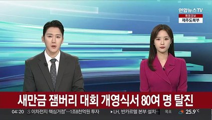 새만금 잼버리 대회 개영식서 80여 명 탈진