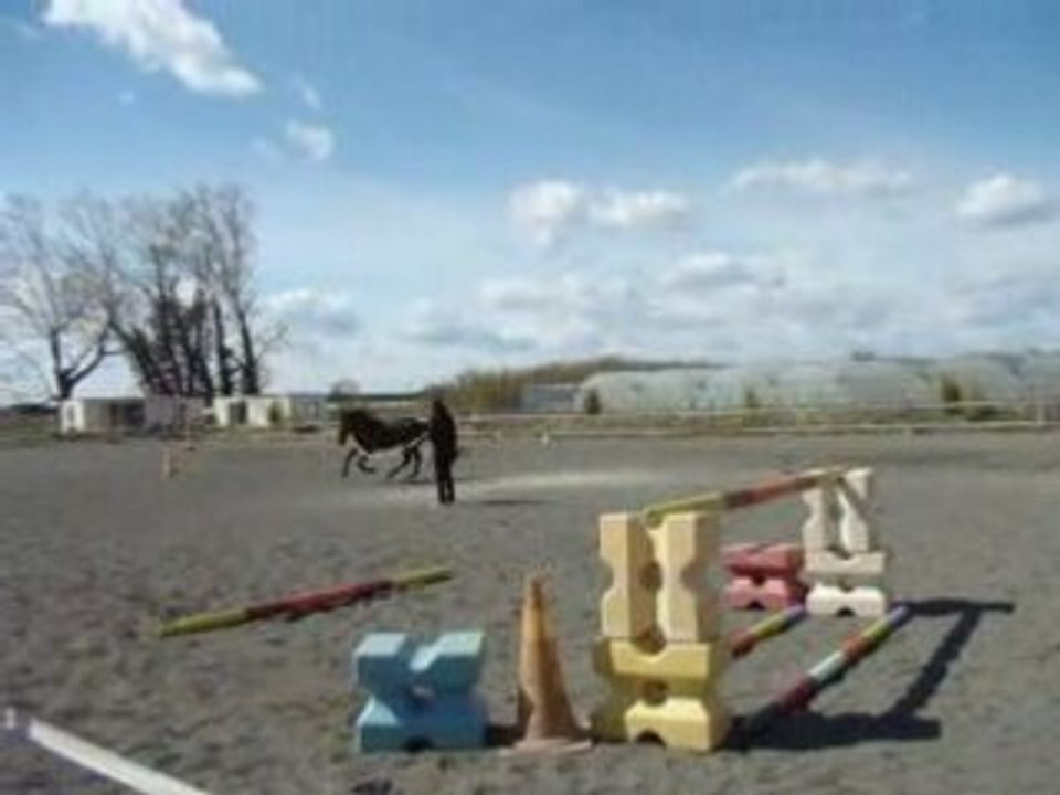 MOV02674