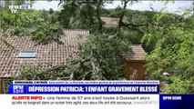 Enfant blessé par une chute d'arbre en Charente-Maritime: 
