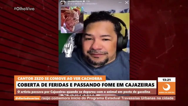 Cantor Zezo se comove e ajuda resgatar cachorra coberta de feridas que passava fome em Cajazeiras