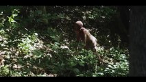 Sem Perdão - Filme Completo Dublado - Filme de Suspense com Kevin Sorbo  NetMovies