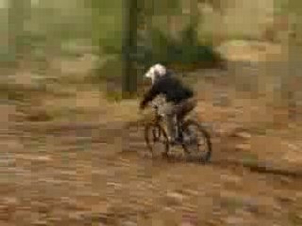 DH Spy 18