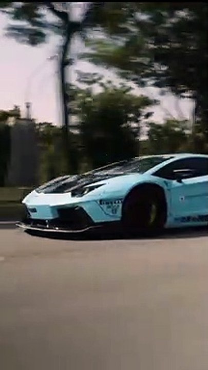Aventador LBWK SILHOUETTE