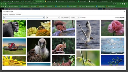 7-Add feature images