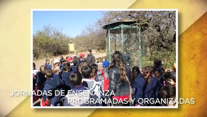 Dormir entre pumas: la historia de una cordobesa que vive en una reserva natural