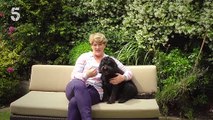 Lost Dogs with Clare Balding Trailer