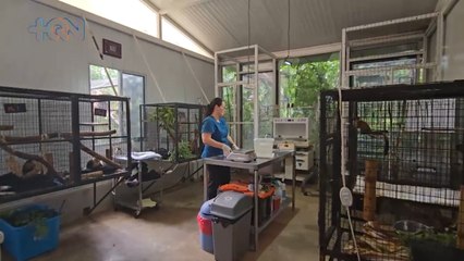 mqn-En la Garita se ubica el hospital veterinario más grande de Centroamérica -020823