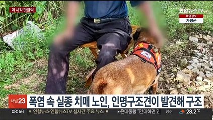 [핫클릭] 폭염 속 실종 치매 노인, 인명구조견에 무사히 구조 外
