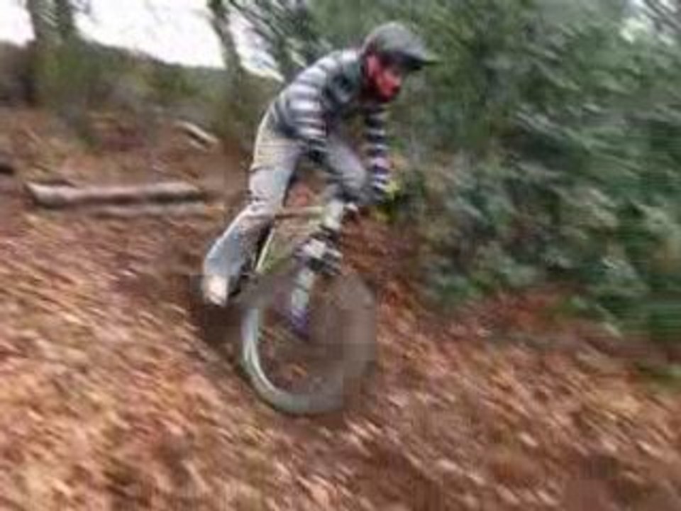 DH Spy 19
