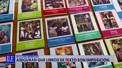 Julieta Fierro Gossman hace observaciones a los libros de texto de la SEP
