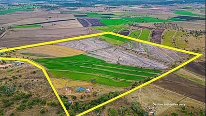 Kildare, Linthorpe, Qld | August 3, 2023 | Farmonline