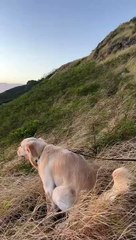 Nommez une meilleure vue de la salle de bain… J'attendrai